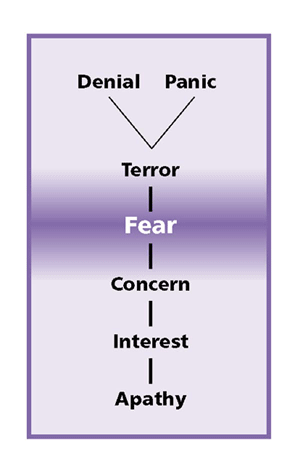 The scale repesenting three fear dimensions of terrorism response:  Denial and panic are the highest two states above terror, and sequentially less severe are fear, concern, interest, and apathy